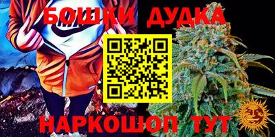 спиды Заволжье