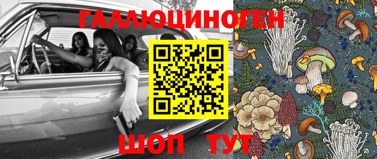 Галлюциногенные грибы GOLDEN TEACHER  Псилоцибиновые грибы Cubensis  Лангепас  Вход с VPN 